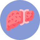 Liver Cirrhosis